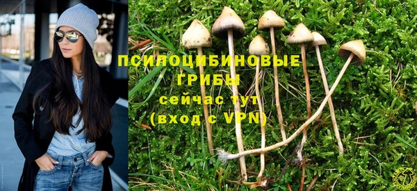 метадон Аркадак