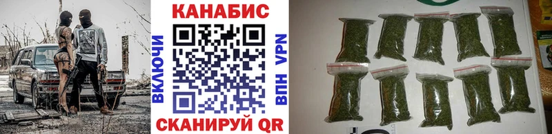 где купить наркоту  Тотьма  Каннабис сатива 